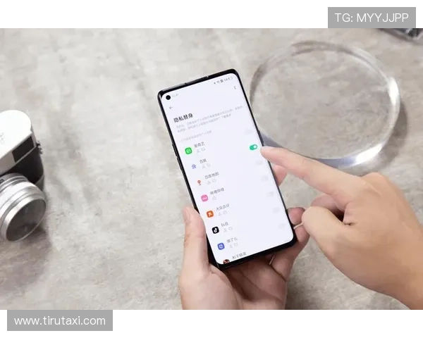 尊龙时凯官方网站入口：官方平台的安全登录保障措施与用户隐私保护