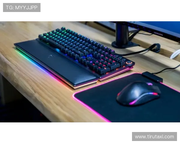 凯时KS集团网址安全登录攻略助你轻松进入平台享受丰富游戏内容